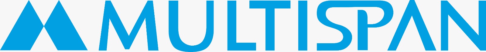 Multispan Logo